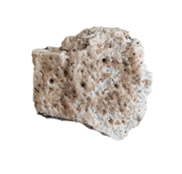 Phytosaur Armor Scute, Chinle Formation