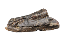 Daspletosaurus Tooth, Two Medicine Formation