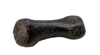 Hell Creek Formation Mystery Toe Bone
