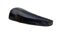 Raptor Tooth from the Hell Creek Formation