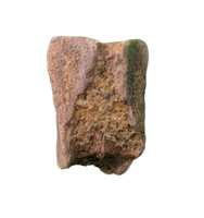 Hadrosaur Tooth, Almond Formation