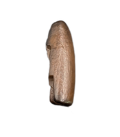 Unknown Theropod Tooth, Bissekty Formation, Uzbekistan