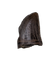 Juvenile Tyrannosaurus Rex Tooth