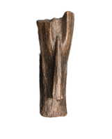 Struthiomimus Tail Vertebra, Hell Creek