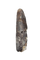 Partial Tyrannosaur Tooth, Two Medicine Formation.