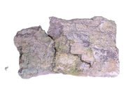 Sauropod Rib Section, Morrison Formation