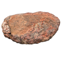 Spicomellus (Ankylosaur) Scute, El Mers Formation