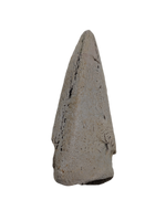 Basilemys variolosa (Turtle) Claw, Hell Creek Formation