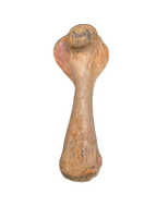 Turtle Femur, Kem Kem