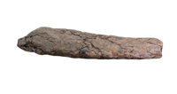 Torosaurus Frill Section