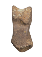 Dakotaraptor/Acheroraptor Toe