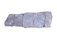 Sauropod Rib Section, Morrison Formation