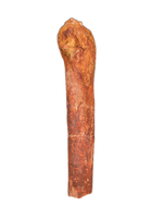 Spinosaurus Metatarsal