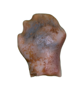 Ankylosaur Tooth, Almond Formation