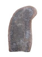 Tullimonstrum (Tullymonster) gregarium