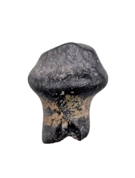 Stegosaur (Miragaia/Dacenturus) Tooth, Lourinha Formation, Portugal