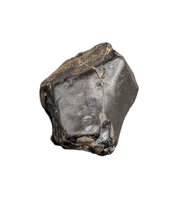 Iguanodont Tooth, Ashdown Formation