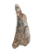 Large Tyrannosaur Tooth, Judith River Formation