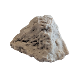 Phytosaur Armor Scute, Chinle Formation