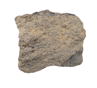 Dinosaur Partial Vertebra, Bissekty Formation