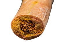 Theropod Femur, Kem Kem