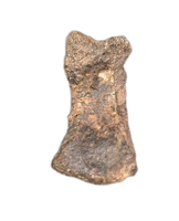 Tyrannosaur Juvenile Toe, Two Medicine Formation