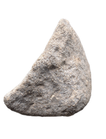 Maiasaura Calcaneus (ankle bone), Two Medicine Formation