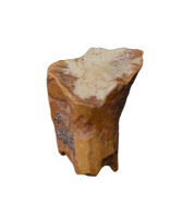 Ouranosaurus Tooth