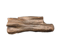 Struthiomimus Tail Vertebra, Hell Creek
