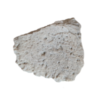 Phytosaur Armor Scute, Chinle Formation