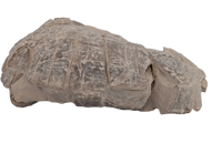 Stylemys (Tortoise), White River Group