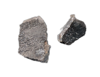 Camarasaurus Tooth Fragment from the Morrison Formation