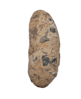 Coprolite, Cloverly Formation
