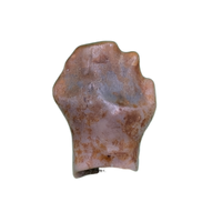 Ankylosaur Tooth, Almond Formation