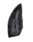 Tyrannosaur Tooth, Two Medicine Formation