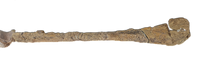 Edmontosaurus Fibula