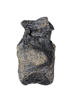 Stegosaurus Caudal Vertebra