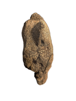 Stegosaurus Vertebrae, Morrison Formation