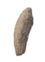 Theropod Vertebra Section, Bissekty Formation