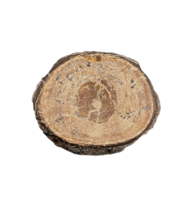 Fish Vertebra, Bissekty Formation, Uzbekistan.
