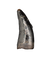 Nanotyrannus Tooth