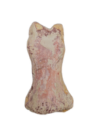 Spinosaurus Toe