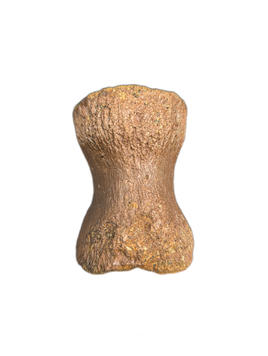 Pachycephalosaurus Vertebra