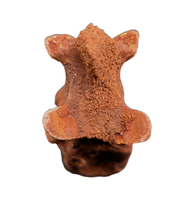Unusual (Dinosaur?) Vertebra, Kem Kem