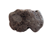 Near Complete Phytosaur Armor Scute, Chinle Formation