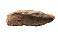 Spicomellus (Ankylosaur) Scute, El Mers Formation