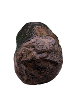 Sauropod (Long Neck) Tail Vertebra, El Mers III Formation