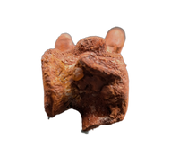 Unusual (Dinosaur?) Vertebra, Kem Kem