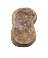 Cave Bear Tooth (Molar)