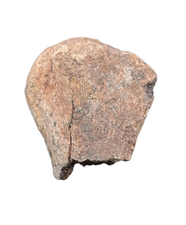 Dinosaur Limb End, Cloverly Formation